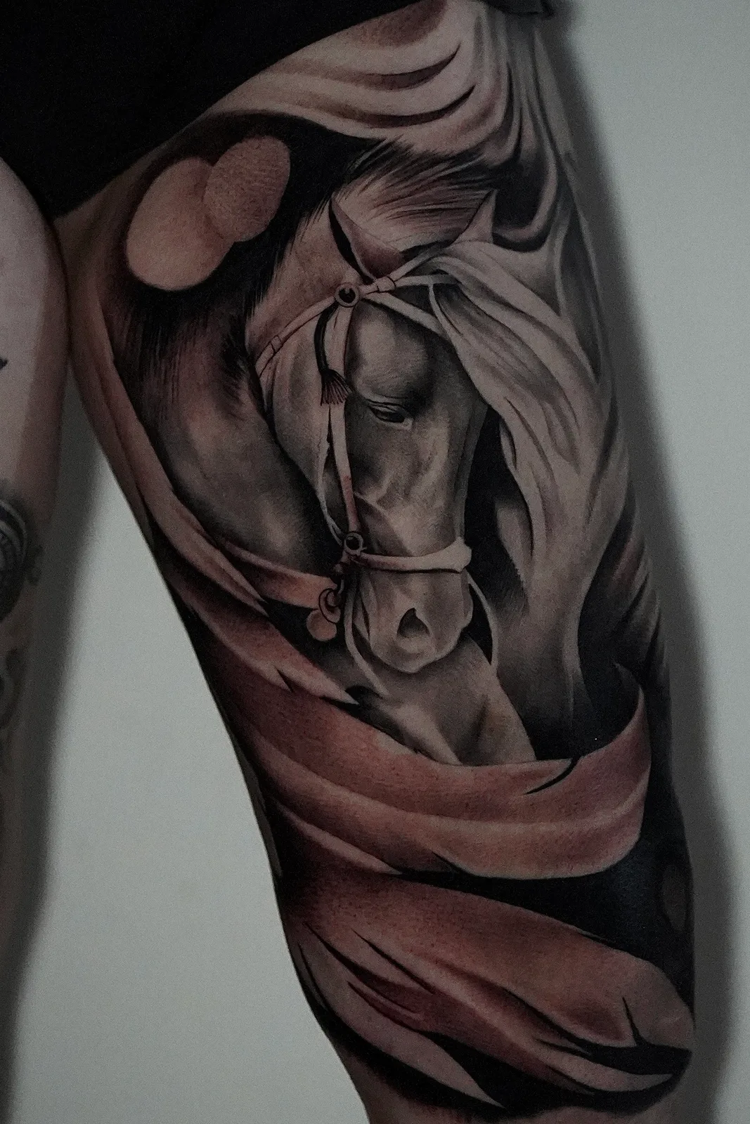 black and grey horse portrait draped in fabric, across shoulder and upper arm