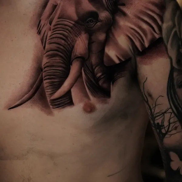 black and grey elephant portrait detailed across the chest by jason