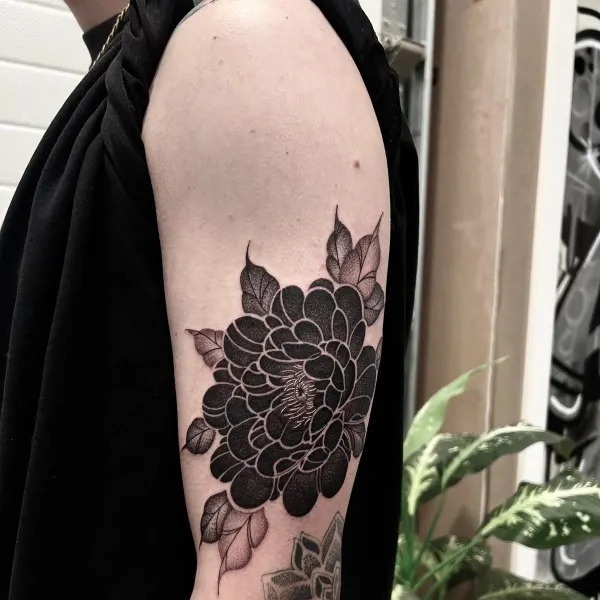 Blackwork chrysanthemum with stipple-shaded leaves, upper arm tattoo by Ashlee at Shade Studio Peterborough