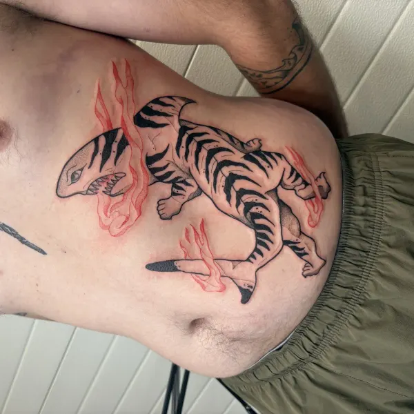 Tiger and shark with red flames, blackwork stomach tattoo by Lana at Shade Studio Peterborough