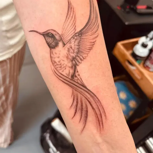 Fine line black and grey hummingbird, forearm tattoo by Hannah at Shade Studio Peterborough