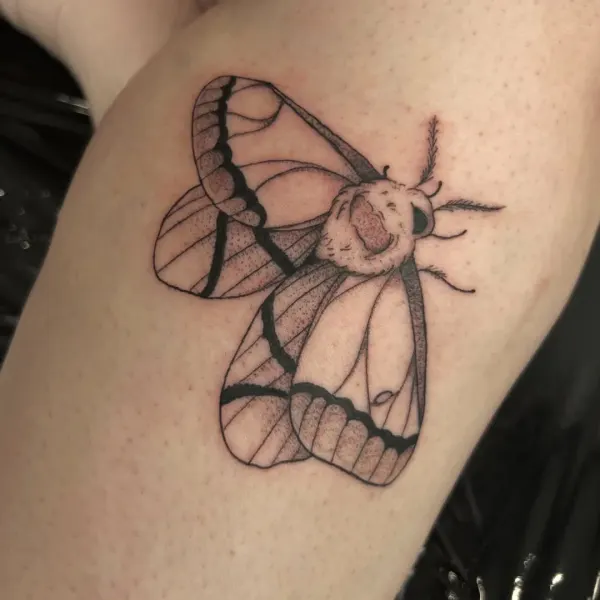 Fine line moth with stipple shaded wings, inner arm tattoo by Madi at Shade Studio Peterborough