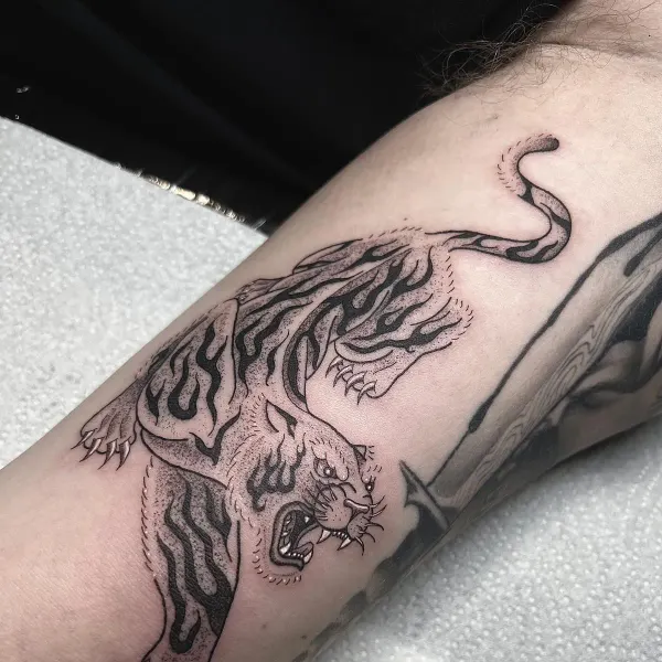 Stipple shaded tiger, inner arm tattoo by Ashlee at Shade Studio Peterborough